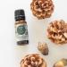 Edens Garden Autumn Air Limited Edition Essential Oil Blend - 100% Pure Therapeutic Grade (10ml) - Buy Online on GoSupps.com
