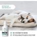 Reavet Ear Drops with Colloidal Silver 50ml - Effective Ear Care for Dogs & Cats | Relieves Inflammation Itching & Fights Germs - Buy Online on GoSupps.com
