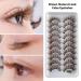 HomeSoGood 10 Pairs Brown Natural Look Wispy Cat Eye Mink False Eyelashes - Buy Online on GoSupps.com