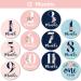 Floral Baby Monthly Stickers for Girls (Set of 24) | Newborn Milestone Month Stickers - Buy Online on GoSupps.com