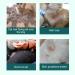 Fellkamm & Desangangelkamm: Premium Cat & Dog Combi Comb for Removing Knotted Hair - 31 Teeth Grooming Tool for Effortless Pet Care - Buy Online on GoSupps.com