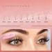 JINKGOLASH 500 Promade Eyelash Extensions 14D 0.03-D 13mm - C D Curl Lashes 8-16mm Length - Loose Lash Fans for DIY Volume Individual Eyelash Extensions - Buy Online on GoSupps.com