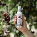Organic Cooling Couperose Spray | Logona Natural Cosmetics | Vegan & Alcohol-Free Relief for Couperose Skin (125 ml) - Buy Online on GoSupps.com