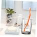 Shop Kombiuda Double-Headed Toothbrush Set - Ergonomic Travel Brushes for Effective Oral Care - Buy Online on GoSupps.com