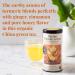 Organic Turmeric Ginger Green Tea Tin - 50 Tea Bags | Naturally Caffeinated | 50 Count (Pack of 1) - Buy Online on GoSupps.com
