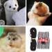 Small Animal Harness Velcro Hamster Harness and Leash Set for Walking Small Animal Chest Straps for Bunny Rabbits Ferret Guinea Pig Chinchilla Puppy Kitten Harness(S) - Buy Online on GoSupps.com