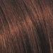 L'Oreal Paris Feria Hair Color 45 French Roast, Deep Bronzed Brown - 1 Ounce Dye - Buy Online on GoSupps.com