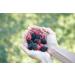 Schwartau Extra Forest Fruit Jam 340g - Premium International Shipping | Buy Online - Buy Online on GoSupps.com