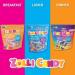 Zollipops The Clean Teeth Pops Anti Cavity Lollipops Delicious Flavors Tropical Pack of 2 Approx 46-50 (Package May Vary) - Buy Online on GoSupps.com