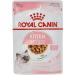ROYAL CANIN Kitten in Gravy Wet Food 85g (Pack of 24) - Buy Online on GoSupps.com
