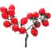 Ciieeo 4pcs String Simulated Cherry Tomatoes Kids Educational Toy Simulation Realistic Foam Food Mini Toys Decorative Cherry Tomatoes Faux Pvc Red Child Household Small Tomatoes Redx4pcs 18X16CMx4pcs - Buy Online on GoSupps.com