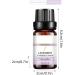 10ml Lavender Essential Oil for Aromatherapy - Unilateral Plant-Based Massage Care | Qhy556 - Buy Online on GoSupps.com