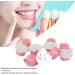 Organic Oral Care Kit - 20 Pieces Dental Polish & Brightening Cream for Dentures - Enhance Your Smile! - Buy Online on GoSupps.com