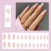 Almond Fake Nails Short 24Pcs White French False Nails with Flower Designs - Nail Art Pink Set for Women - Includes Nail Glue - Press On Nails for Girls - Buy Online on GoSupps.com