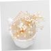 DOITOOL 1pc Bridal Comb Combs for Women Hair Accessories Crystal Headpiece Rhinestone Headwear Womens Hair Clips Handmade Headwear Pearl Hair Pin Bride Alloy Rhinestones Decorate - Buy Online on GoSupps.com