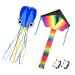 Homdipoo Rainbow Kite Mollusc Octopus Kite 2Pack Easy to Fly Kites for Kids Ages 4-8 and Kites for Adults Kite with 2Handle 300ft Kite String for Beginner Outdoor Beach Kite (MUL+Blue) Multicolour
