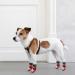 Buy Pupeck 2 Pairs Double-Sided Anti-Slip Dog Socks | Adjustable Indoor Dog Shoes for Summer Paw Protection | Traction Control Socks for Hardwood Floors - Red & Black - Buy Online on GoSupps.com