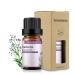 Buy GREENSLEEVES Verbena Essential Oil - 100% Pure Aromatherapy 10ml for Diffuser Massage & Humidifier | International Shipping Available - Buy Online on GoSupps.com