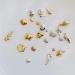500pcs Nail Art Metal Studs - Sea Series Shell Starfish Deco | NAIL ANGEL 10007 - Buy Online on GoSupps.com