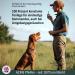 Acme Dog Whistle No. 210.5 - Loud & Effective Dog Training Tool | Free Pipe Band | Ideal for All Dogs | International Shipping Available - Buy Online on GoSupps.com