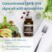Pure & Essential Vegan Omega 3 Algae Oil | High EPA DHA Concentration | Sustainable & Pure with Astaxanthin | 600mg DHA & EPA for Heart, Brain & Eye Health | 60 Small Softgels - Buy Online on GoSupps.com