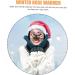 Solustrie Winter Nasemask: Breakable Nose Cover Knitted Warmers for Dogs & Outdoor Use - Buy Online on GoSupps.com