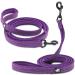 WINHYEPET True Love Reflective Nylon Dog Leash for Small, Medium, Large Breeds - Easy Control Comfortable Handle Lead for Puppy Training and Walking - 110cm Length (Purple, M) - Buy Online on GoSupps.com