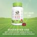 Vitamin D3 + B12 Gummy Supplements | 2 Month Supply | Supports Bone Health & Energy | Vegan & Gluten Free | 60 Servings - Buy Online on GoSupps.com