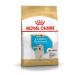 Royal Canin Dog Food Golden Retriever Puppy Dry Mix 3kg