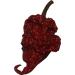 Trinidad Moruga Red Tail Scorpion Chili Powder - Premium Spice Seasoning - Buy Online on GoSupps.com