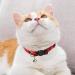MJIYA Red Grid Dog and Cat Collar with Bell | Adjustable Plastic Buckle | Medium Size - Buy Online on GoSupps.com