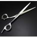 Professional Hairdressing Scissors Hair Scissors Set Luxury Hair Scissors Retro Barber Scissors(Color:D1 Size:Flat Cut 7 inch) Flat cut 7 inch D1 - Buy Online on GoSupps.com