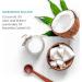 Aveline Women's Silky Smooth Shaving Starter Kit | 6-Blade Razor, Exfoliating Scrub, Shea Butter Cream, & Moisturizing Lotion - Buy Online on GoSupps.com