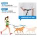 Snocyo Jogging Leash for Dogs | Elastic & Reflective Leash for Medium & Large Dogs | Double Handle & Waist Belt | Black & Blue - Buy Online on GoSupps.com