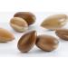 So Bio tic Conditioner for Shiny Hair | Organic Argan Oil & Oleic Acid | Vegan Sulfate-Free Deep Hydration - 6.76 fl oz - Buy Online on GoSupps.com
