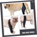 INOOMP Dog Leg Braces for Hindleg Dog Leg Knee Puppy Leg Cover Dog Knee Cover Pet Injury Knee Puppy Brace Leg Supplies Dog Foreleg Brace Dog Knee XL As Shown - Buy Online on GoSupps.com