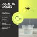 Mammut L-Carnitine Liquid - Lime Flavor 500ml (Pack of 5) | Shop Internationally for Premium Supplements - Buy Online on GoSupps.com