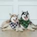 PRO BLAZES 100% Pure Cotton Dog Bandana - Pack of 2 4 & 6 Dog Bandanas - Dog Bandanas for Large Dogs - Washable Bandanas for Dogs - Pet Gift Accessories Bandana for Dogs - Cool Smart Dog Scarfs (L (Pack of 4)) - Buy Online on GoSupps.com