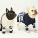 Fitwarm Small Blue Striped Knitted Dog Sweater - Thermal Turtleneck Pet Coat for Winter - Small Dog Boy Girl Cat Apparel - Buy Online on GoSupps.com