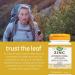Nature s Way Zinc with Echinacea & Vitamin C - Immune Support Supplement with Zinc Echinacea and Vitamin C Natural Wild Berry Flavour - 120 Lozenges Value Size 120 Count (Pack of 1) - Buy Online on GoSupps.com