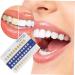Buy Gatuida Tooth Color Card - 20-Piece Bleached Shade Guide for Accurate Color Matching | PVC Metric Hooded Delivery | Ideal for Dental Professionals & Patients - Buy Online on GoSupps.com