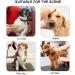 Dongker Dog Care Hammock | Breathable Pet Fur Care & Nail Trimming Harness for Cats & Dogs - Buy Online on GoSupps.com