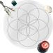 Buy Generic W sschelrutenbrett Pendulum Board - Acrylic Energy Prophecy Tool for Metaphysical Messages | International Shipping Available - Buy Online on GoSupps.com