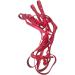 Halter for Horse | Safety Halter Chin & Throat Snap Heavy Duty Tied Halter | Comfortable Padded Nylon Horse Halter for Training Equestrian Grooming Rowces Red - Buy Online on GoSupps.com