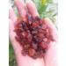 Crystal 97g Natural Rough rundum Stones and Minerals Reiki Crystal raw red Garnet for Making Jewelry - Buy Online on GoSupps.com