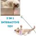 PETVERA Retractable Wand Cat Toy - Interactive Feather String Toy for Indoor Play - Best Teaser Laser Toy for Kittens - Blue Cat Fishing Stick - Buy Online on GoSupps.com