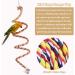 ASOCEA Bird Perch Rope Stand Swing Climbing Toy for Parrot, Budgie, Cockatiel - Bungee Bird Toy - Buy Online on GoSupps.com