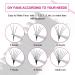 Fadlash Easy Fan C Curl 0.05 10mm Single Lashes - Russian Eyelash Extensions for Natural Self Fanning Blooming Look - Buy Online on GoSupps.com