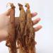 500 Grams Korean Red Ginseng Root Korean Red Panax Ginseng Red Korean Ginseng Natural Organic Changbai Mountain Wild Ginseng Whole Ginseng. - Buy Online on GoSupps.com