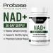 Probase Nutrition NAD Supplement 500mg High Potency 30 Day Supply NAD Maximizer Similar to Nicotinamide Riboside Vegan Non GMO Third Party Tested - Buy Online on GoSupps.com